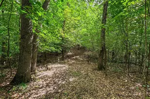 13744 270th St, Cold Spring, MN 56320 - Photo 75