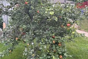 5227 5th St NE, Columbia Heights, MN 55421 - Photo 23