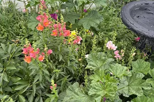 5227 5th St NE, Columbia Heights, MN 55421 - Photo 23