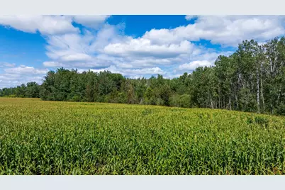 Tbd 180th Street, Verndale, MN 56481 - Photo 1