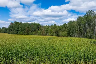 Tbd 180th St, Verndale, MN 56481 - Photo 1
