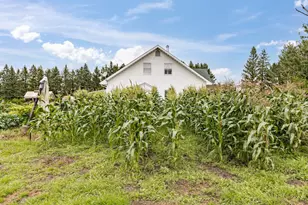 3723 Birchwood Rd, Kettle River, MN 55757 - Photo 59