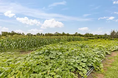 3723 Birchwood Road, Kettle River, MN 55757 - Photo 49