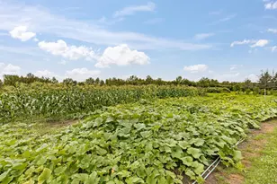 3723 Birchwood Rd, Kettle River, MN 55757 - Photo 49