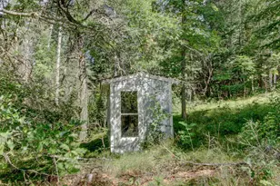 57436 Dinner Lake Loop, Park Rapids, MN 56470 - Photo 35