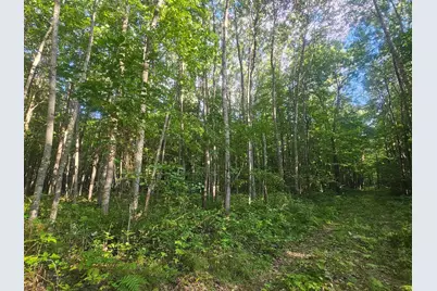 Lot 3 Ken Can Lane, Webster, WI 54893 - Photo 1