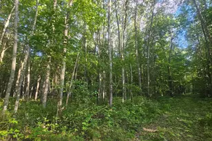 Lot 3 Ken Can Ln, Webster, WI 54893 - Photo 1
