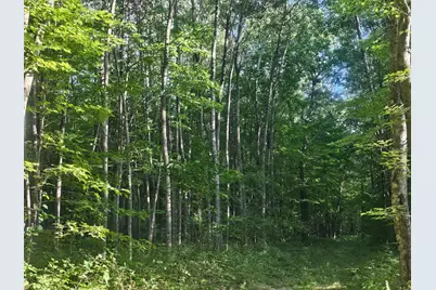 Lot 3 Ken Can Lane, Webster, WI 54893 - Photo 5