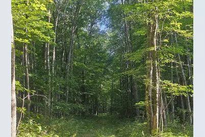 Lot 3 Ken Can Lane, Webster, WI 54893 - Photo 3