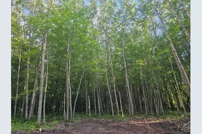 Lot 3 Ken Can Lane, Webster, WI 54893 - Photo 7