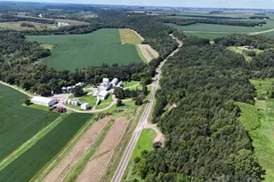 75730 Co Rd 12, Sacred Heart, MN 56285 - Photo 5