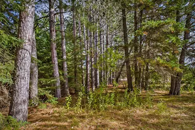 26183 350th Street, Sebeka, MN 56477 - Photo 45