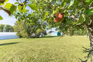 18702 Co Hwy 1, Fergus Falls, MN 56537 - Photo 33