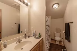 101 N Duck Lake Ave, Madison Lake, MN 56063 - Photo 29