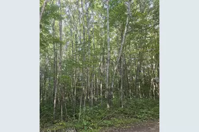 Lot 4 Ken Can Lane, Webster, WI 54893 - Photo 5