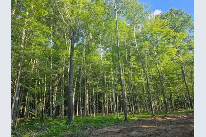 Lot 4 Ken Can Lane, Webster, WI 54893 - Photo 3