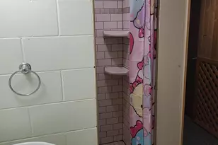 1007 12th St SW, Little Falls, MN 56345 - Photo 33