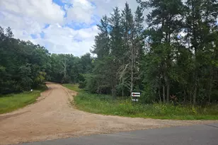 Tract A Richfield Road SW, Pillager, MN 56473 - Photo 1