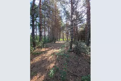 24661 187th Street NW, Big Lake, MN 55309 - Photo 33