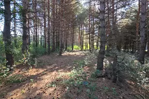 24661 187th St NW, Big Lake, MN 55309 - Photo 33