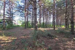 24661 187th St NW, Big Lake, MN 55309 - Photo 39