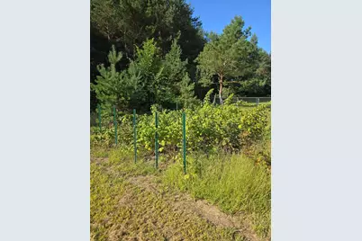 24661 187th Street NW, Big Lake, MN 55309 - Photo 37