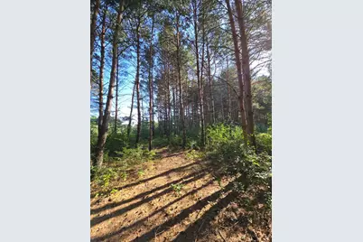 24661 187th Street NW, Big Lake, MN 55309 - Photo 43