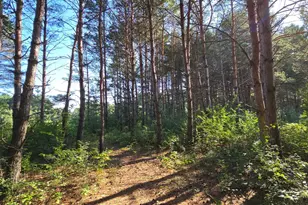 24661 187th St NW, Big Lake, MN 55309 - Photo 43