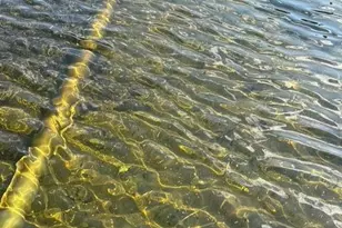 51021 Fish Lake Rd, Detroit Lakes, MN 56501 - Photo 51