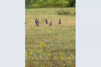 20371 180th Avenue N, Ulen, MN 56585 - Photo 61