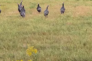 20371 180th Ave N, Ulen, MN 56585 - Photo 61