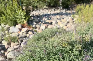 20371 180th Ave N, Ulen, MN 56585 - Photo 39