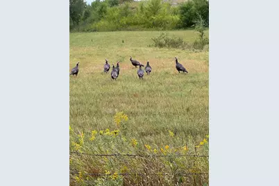 20371 180th Avenue N, Ulen, MN 56585 - Photo 71