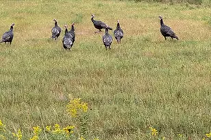 20371 180th Ave N, Ulen, MN 56585 - Photo 71