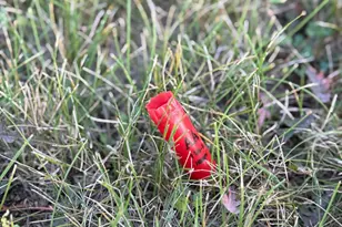 20371 180th Ave N, Ulen, MN 56585 - Photo 69