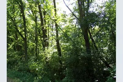 67Xx Old Sawmill Road, Harris, MN 55032 - Photo 13