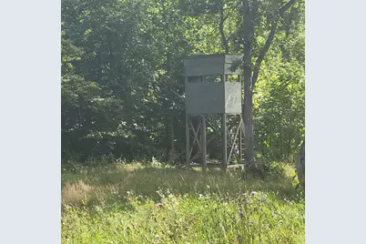 Tbd Jeff Lake Road, Richville, MN 56576 - Photo 5