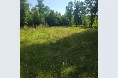 Tbd Jeff Lake Road, Richville, MN 56576 - Photo 3