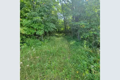 Tbd Jeff Lake Road, Richville, MN 56576 - Photo 7