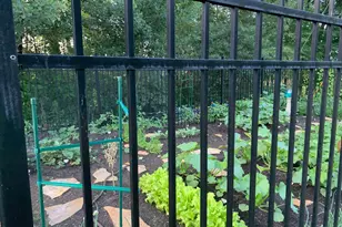 17265 Ward Lake Dr NW, Andover, MN 55304 - Photo 73