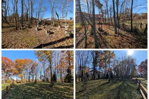 17265 Ward Lake Dr NW, Andover, MN 55304 - Photo 83