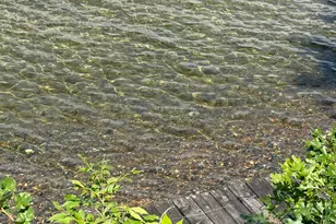 14868 Rose Bush Ln NW, Cass Lake, MN 56633 - Photo 3