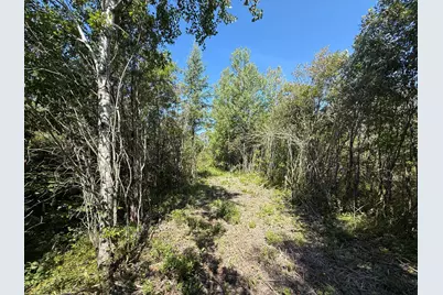 Tbd Hwy 11 (Parcel A), Loman, MN 56654 - Photo 57