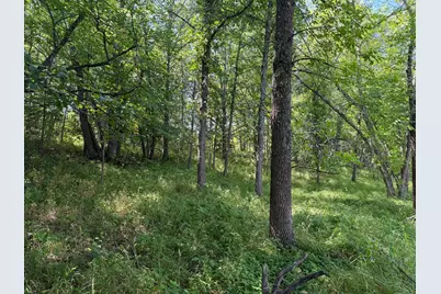Tbd Hwy 11 (Parcel A), Loman, MN 56654 - Photo 27