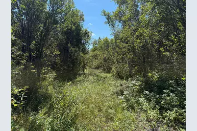 Tbd Hwy 11 (Parcel A), Loman, MN 56654 - Photo 55