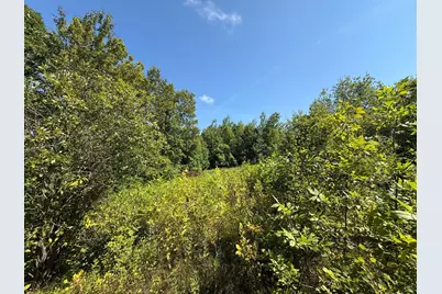 Tbd Hwy 11 (Parcel A), Loman, MN 56654 - Photo 47