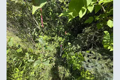 Tbd Hwy 11 (Parcel A), Loman, MN 56654 - Photo 61