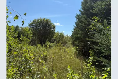 Tbd Hwy 11 (Parcel A), Loman, MN 56654 - Photo 51