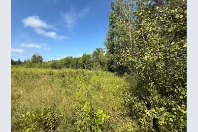 Tbd Hwy 11 (Parcel A), Loman, MN 56654 - Photo 21