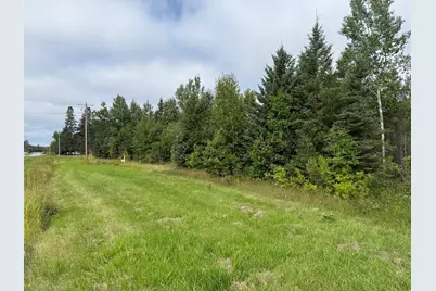 Tbd Hwy 11 (Parcel A), Loman, MN 56654 - Photo 11